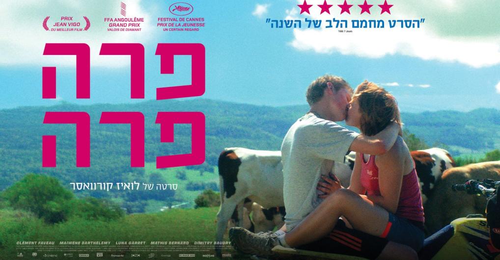 רוחב